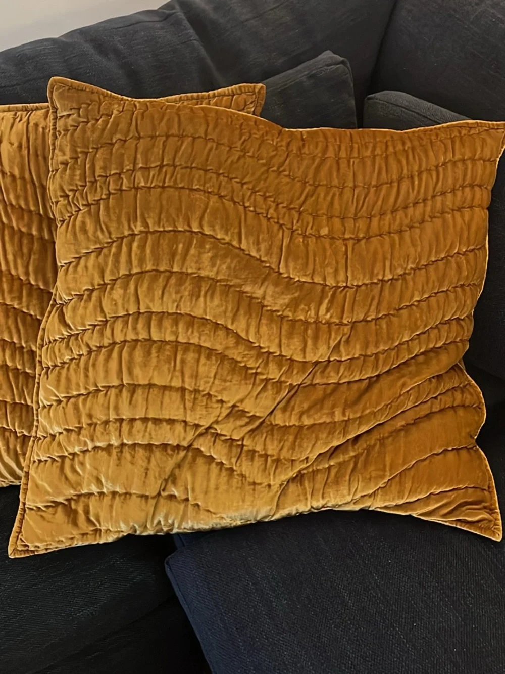 West Elm Golden Oak Lush Velvet Wave Euro Shams Set PILLOWS NOT INCLUDED